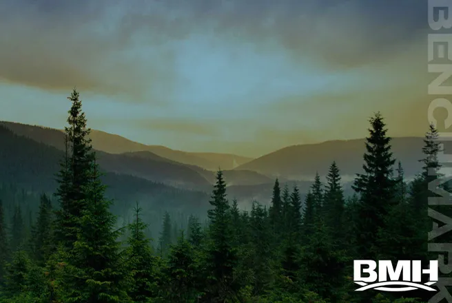 Third-party compliance audit