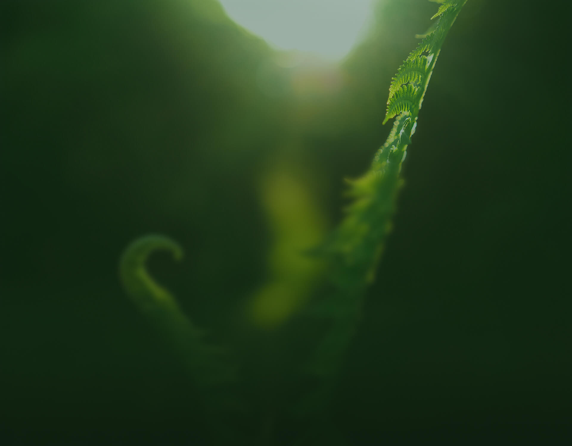 Social Responsibility