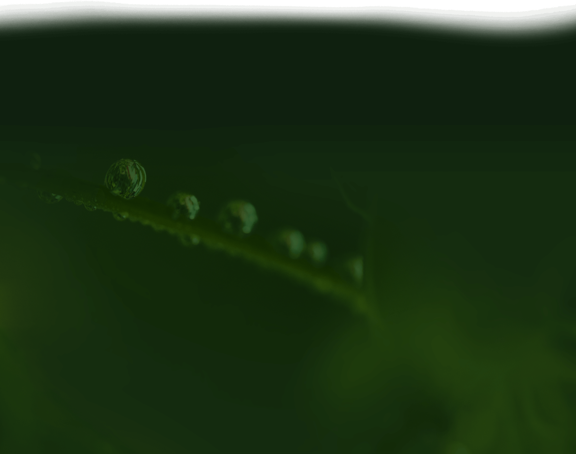 Log Responsibly Protect Our Planet