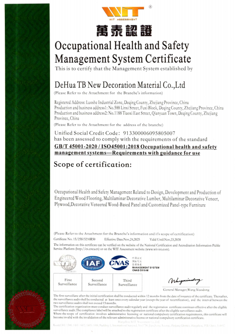 ISO45001