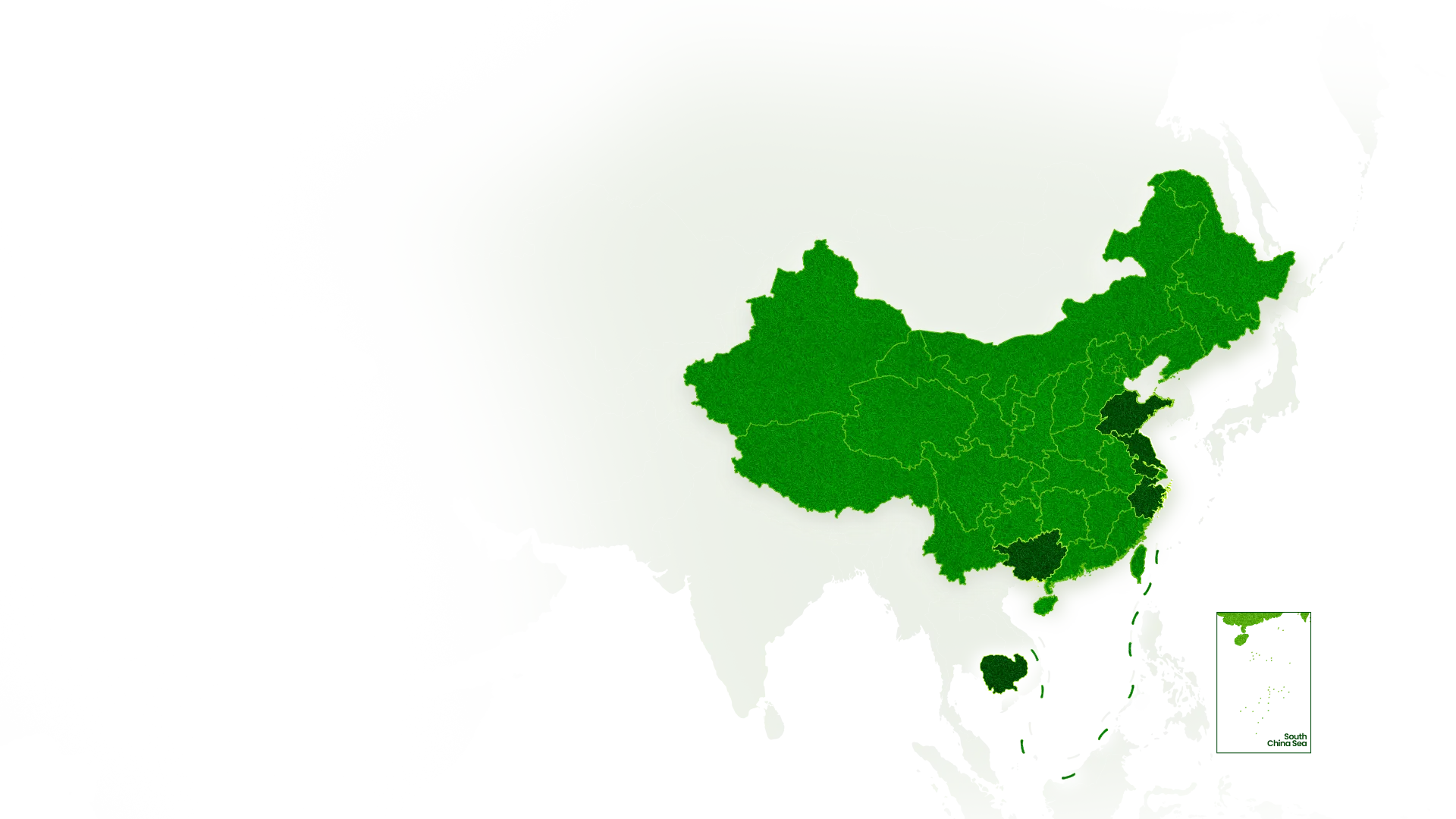 Global Manufacturing  Base