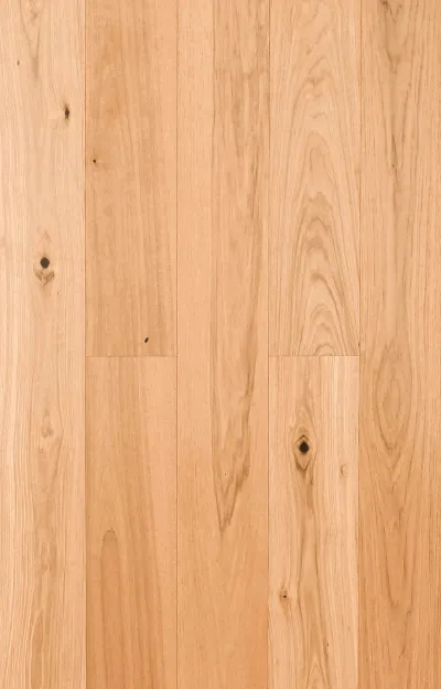American Hickory